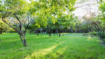A grassy park area with trees and a building in the background.