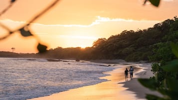 En strandscene med to personer, der går langs kysten, en solnedgang i baggrunden og vegetation i forgrunden.