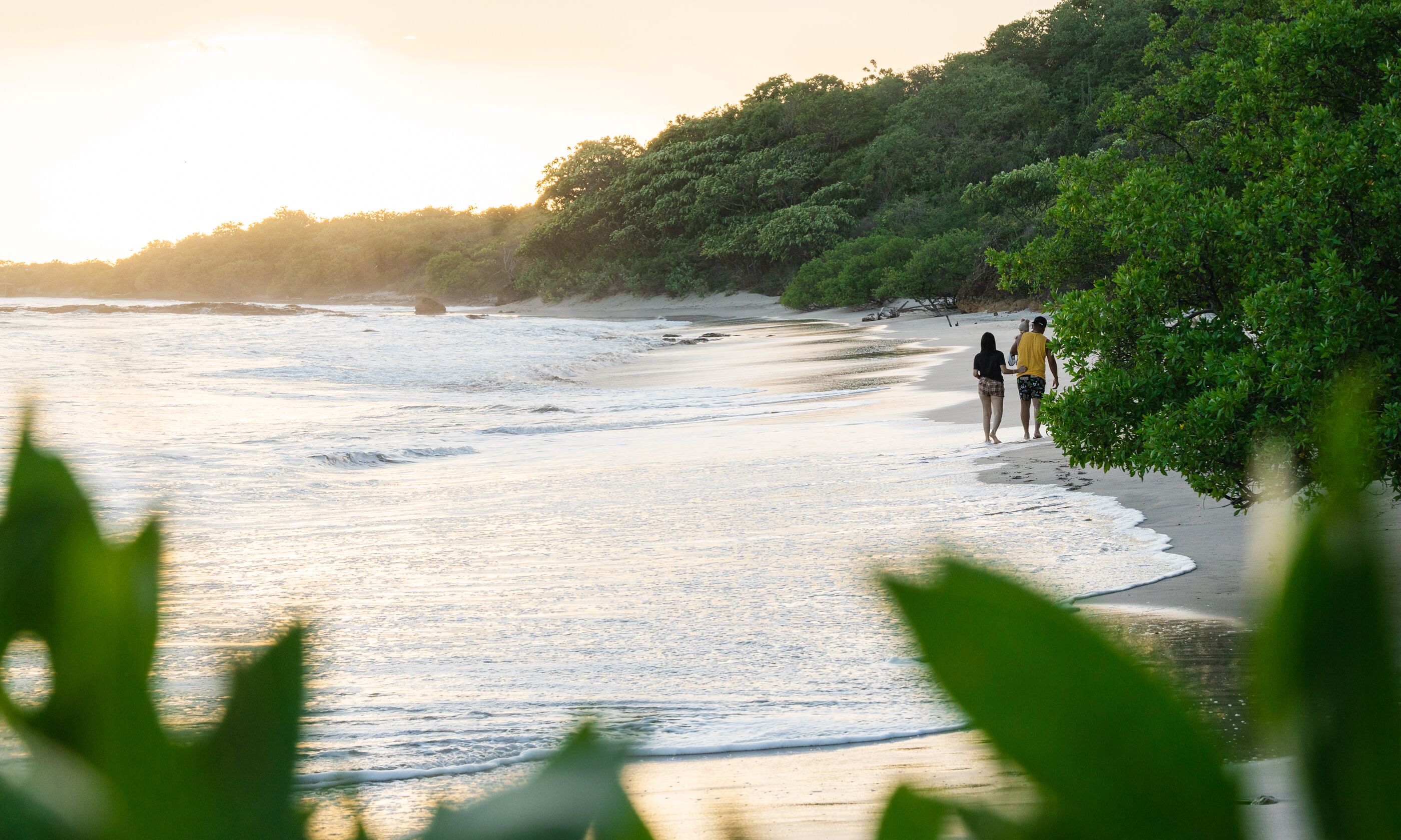 A beach with people walking along the shore, surrounded by greenery.