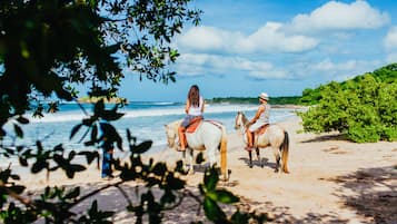 Horse riding