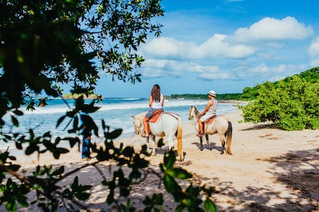 Horseback riding