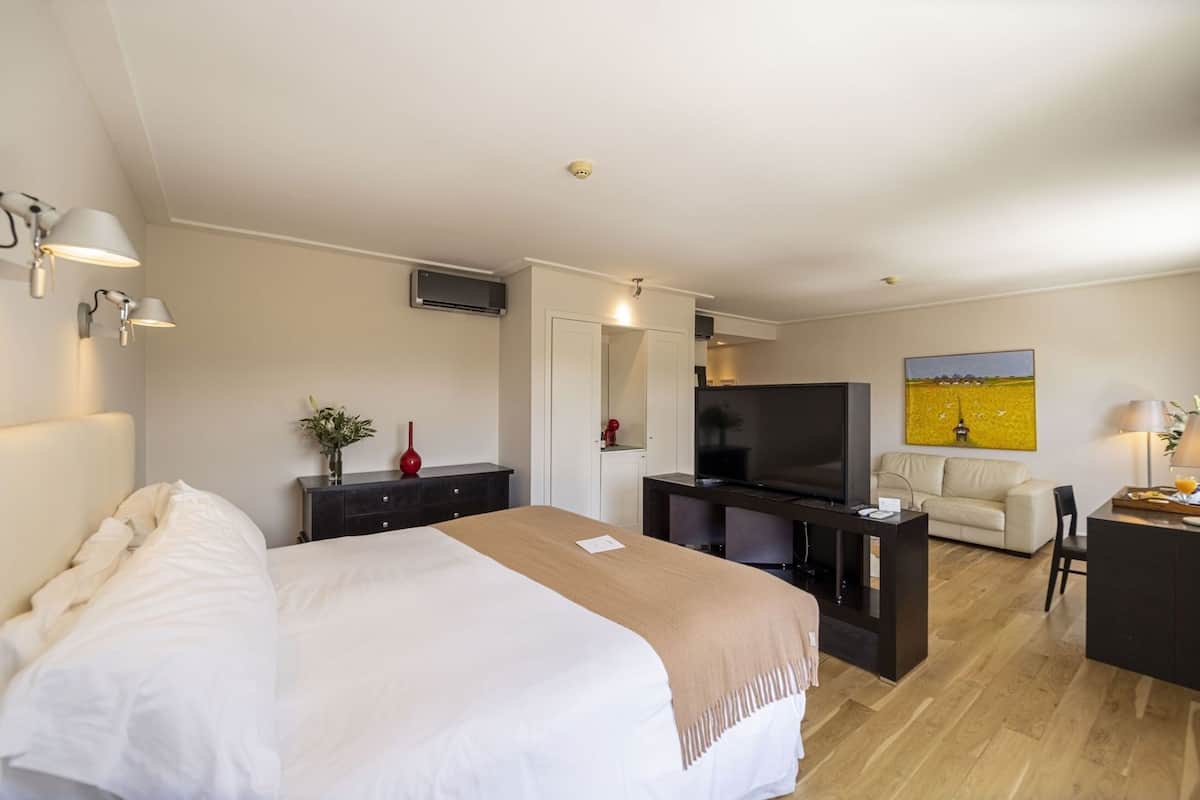 Habitación de hotel con cama, televisor, sofá, escritorio y un cuadro en la pared.