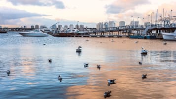 A waterfront marina with boats docked, a pier, and a city skyline in the background.