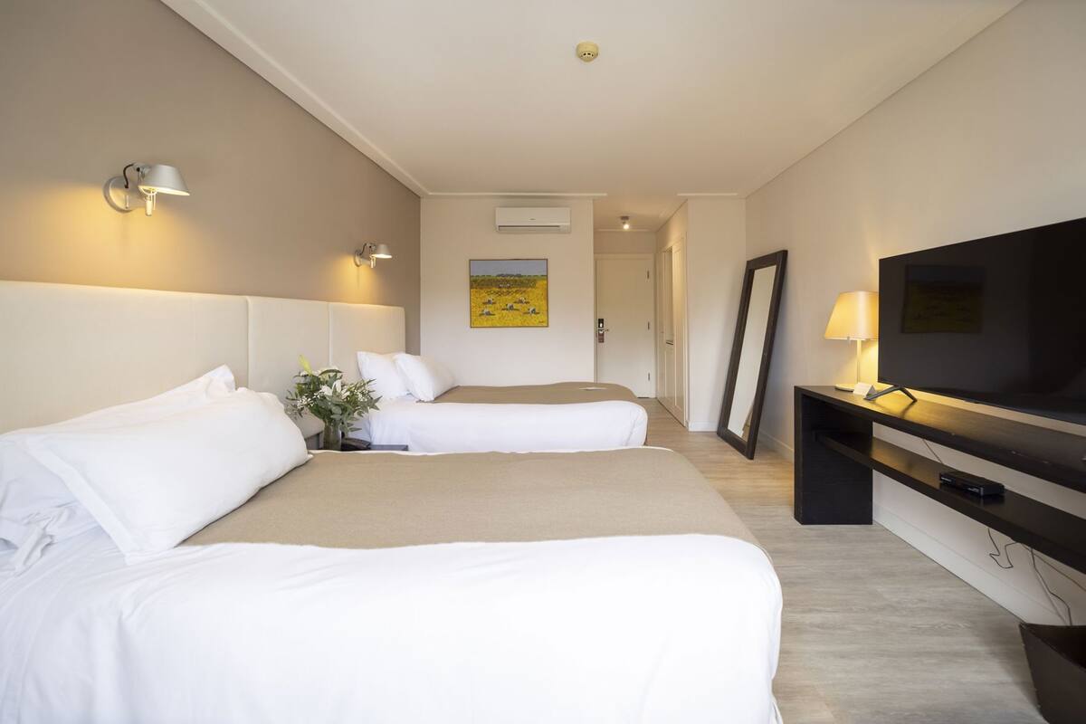Habitación de hotel con dos camas, televisión, espejo y un cuadro en la pared.