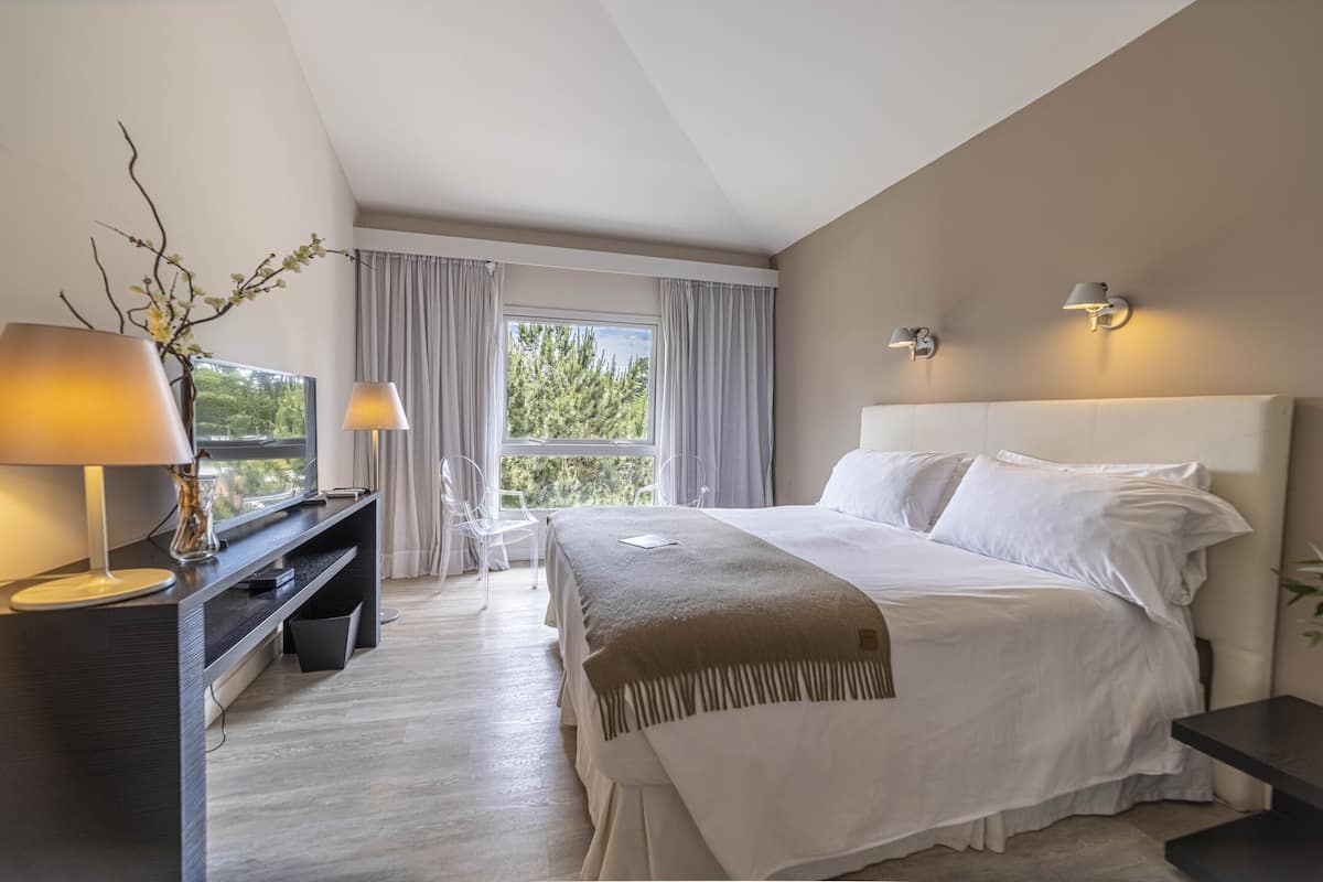 luxury double or twin room | 1 bedroom, egyptian cotton sheets, premium bedding, minibar