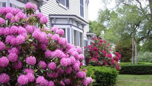 A house with a large garden featuring pink flowers and a well-maintained lawn. - Isaiah Jones Homestead Bed & Breakfast (Sandwich)