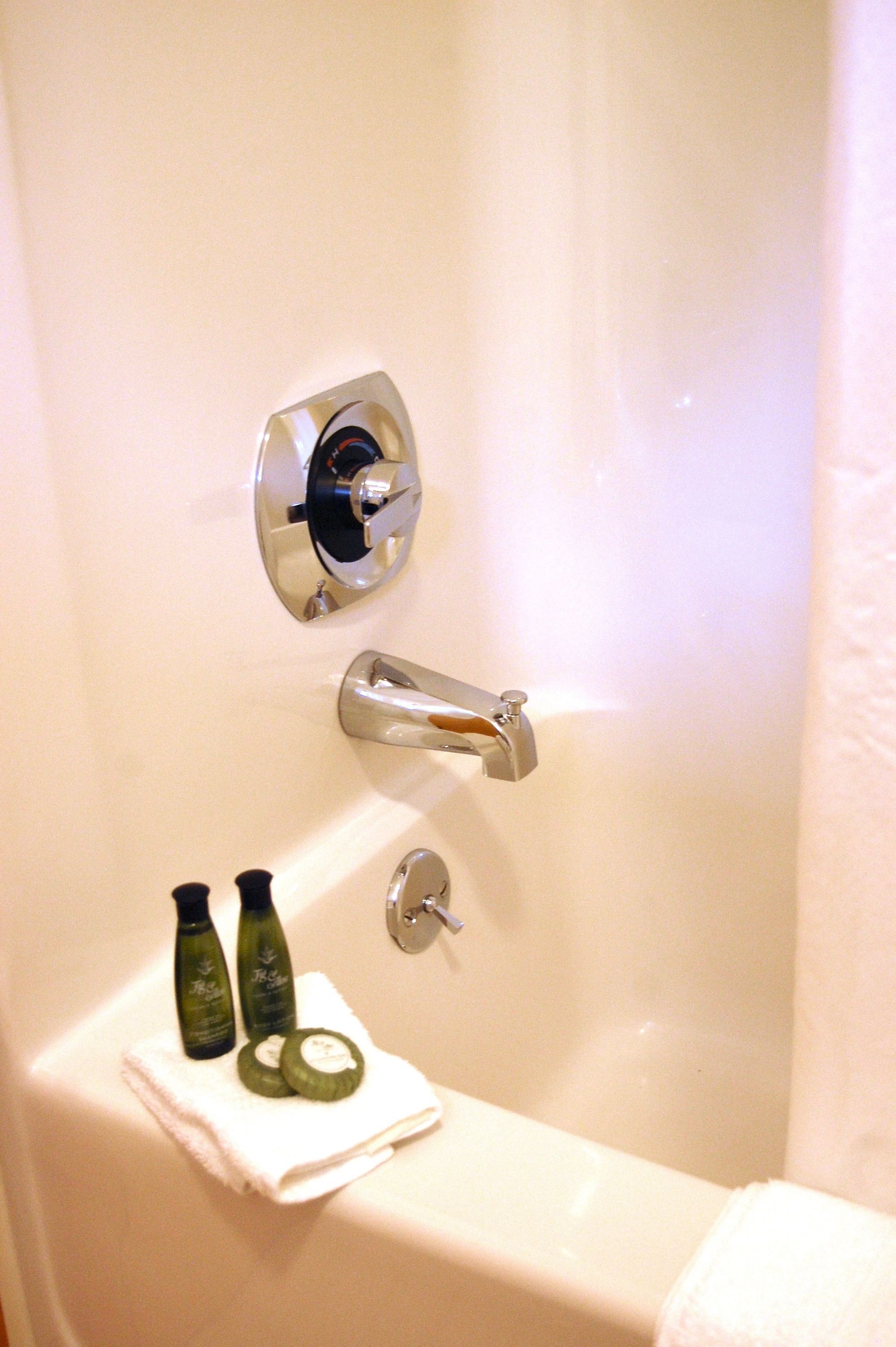Comfort Suite, 1 King Bed (Back View) | Bathroom shower