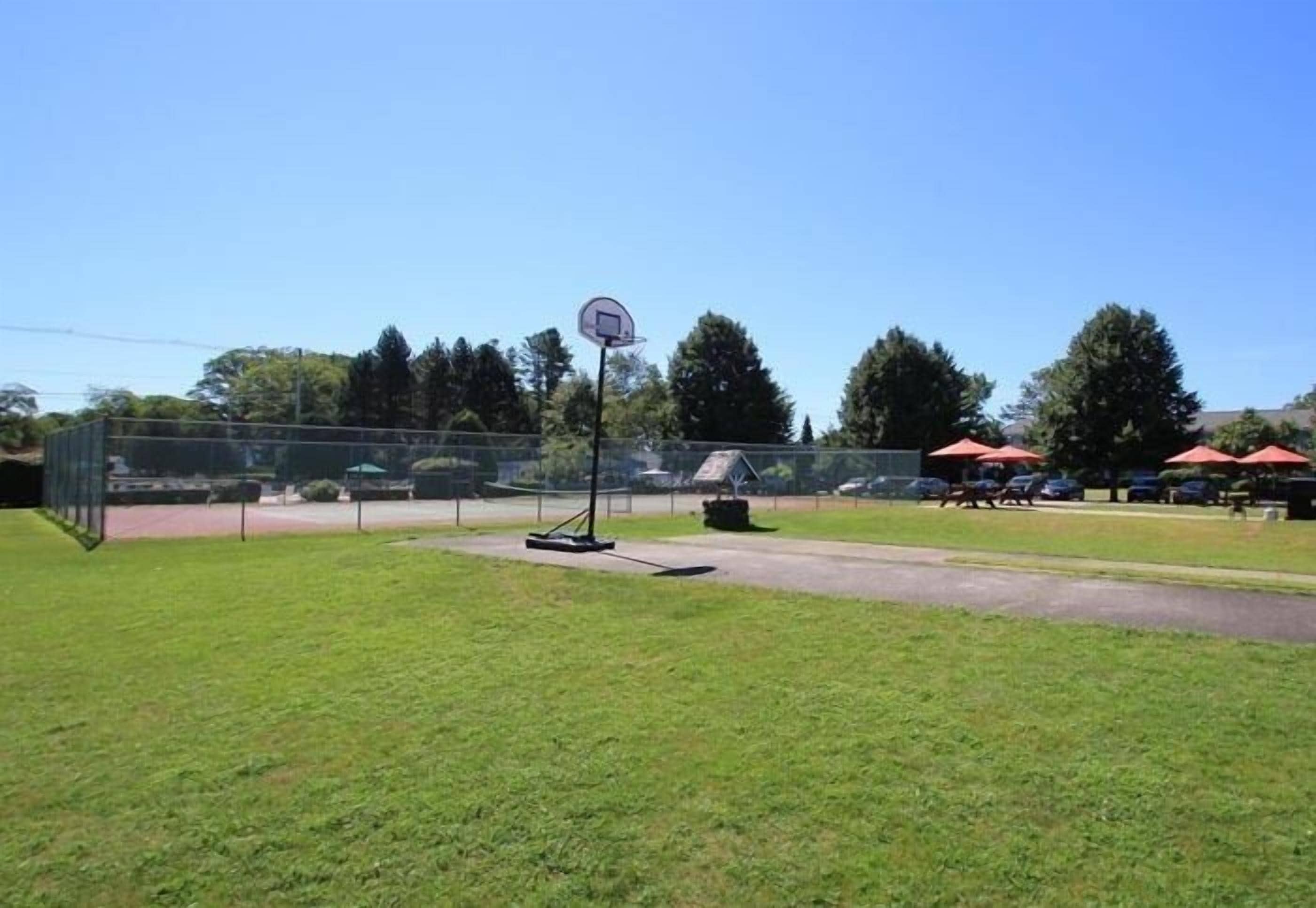 An outdoor basketball court with a hoop, surrounded by a fence and trees.