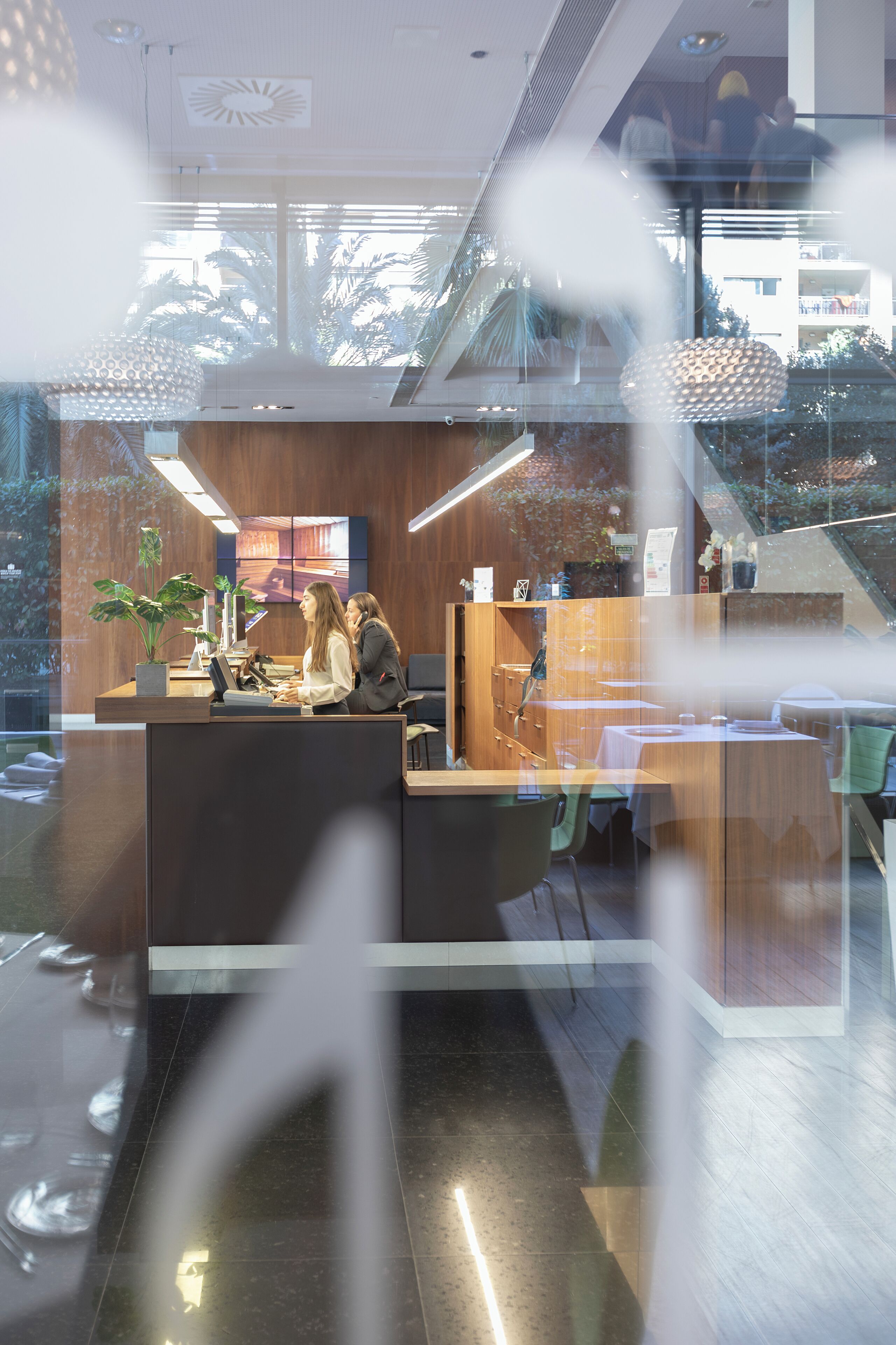 A reception area with a wooden reception desk, a potted plant, and a view of the outside through large windows.