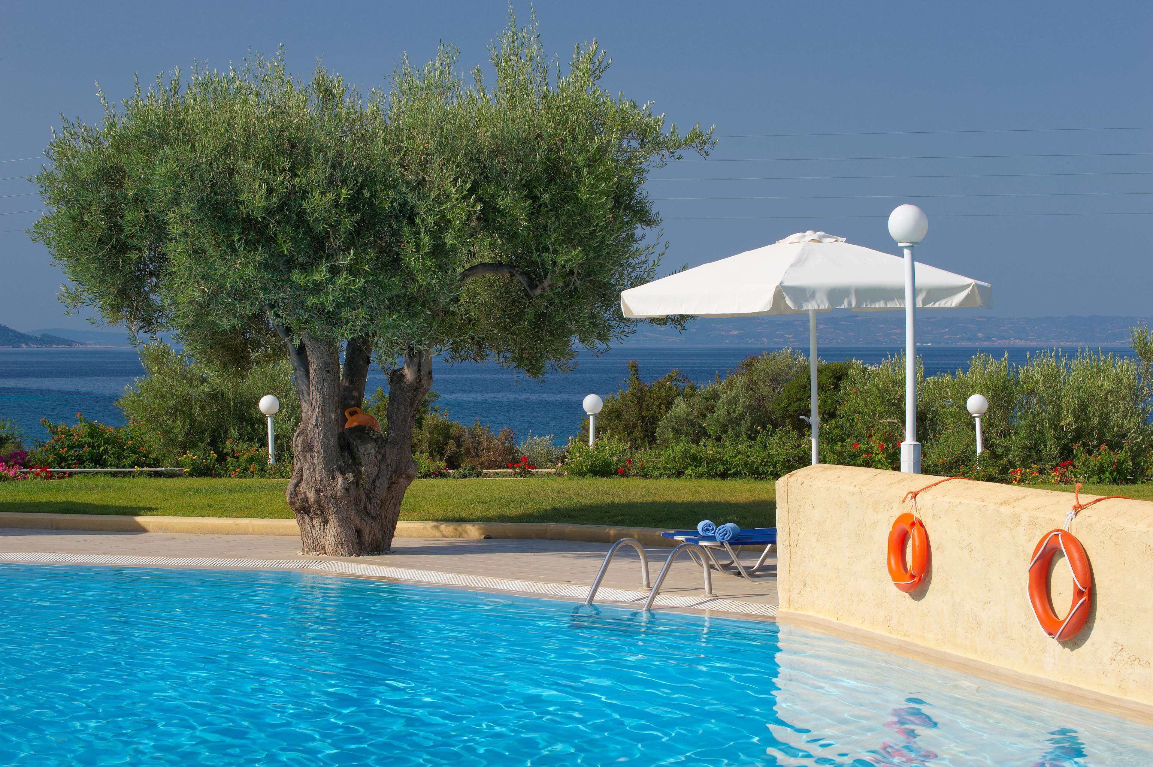 A swimming pool with a lifebuoy, a white umbrella, and a tree.