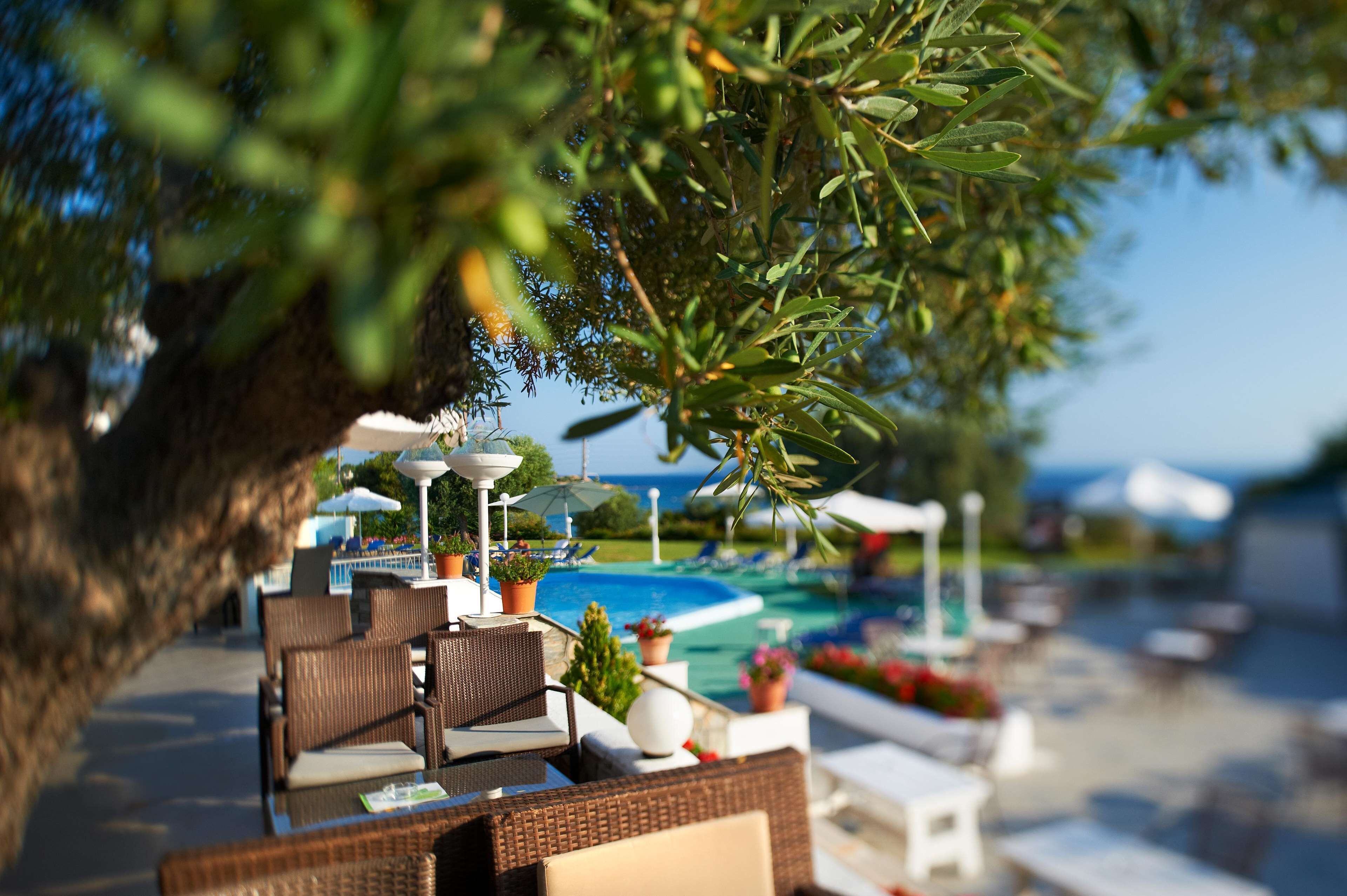 Eine Strandbar mit Korbmöbeln, Sonnenschirmen und Blick auf Pool und Meer.