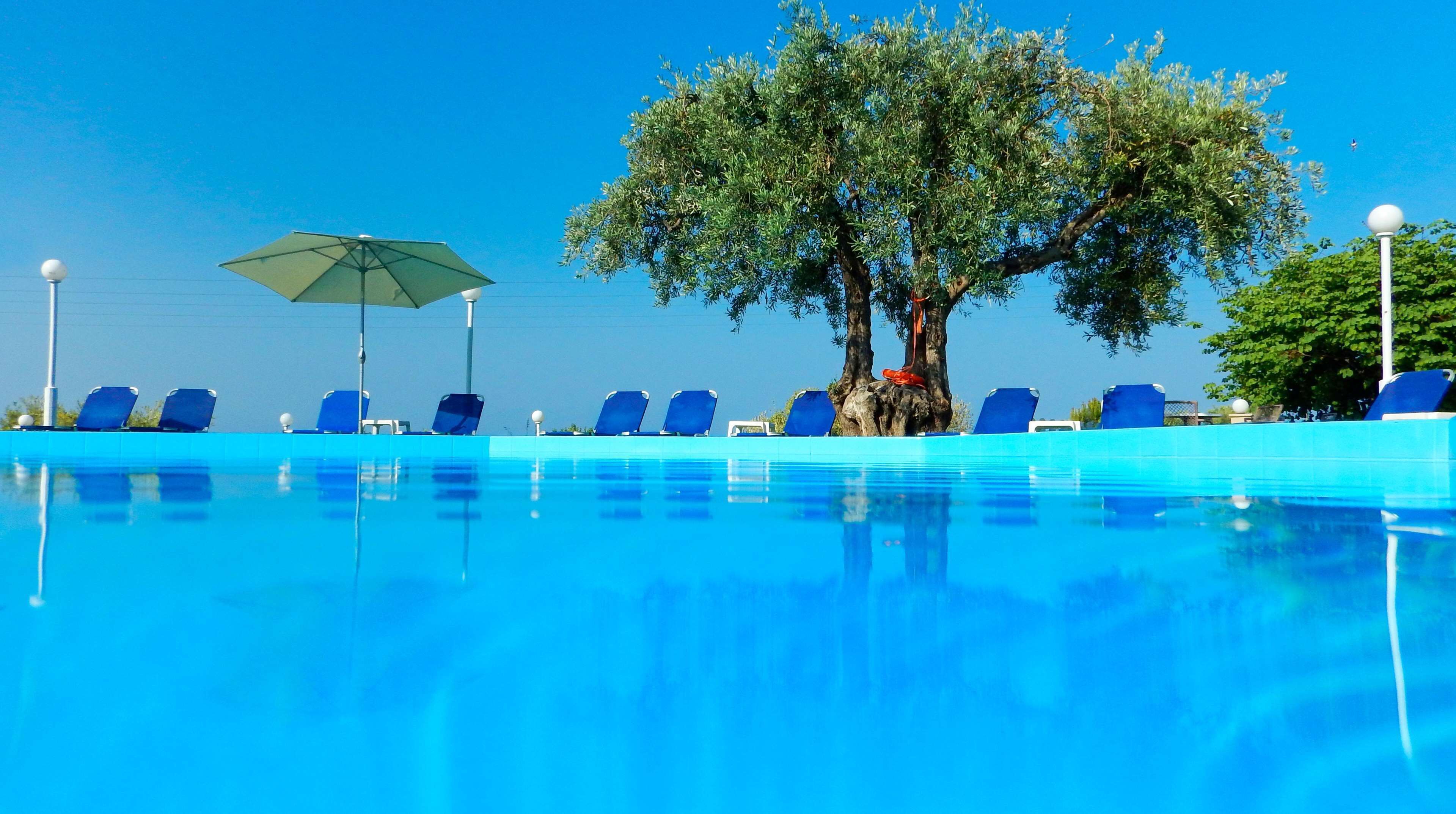 Une piscine à l’eau bleue, entourée de chaises longues et d’un parasol.