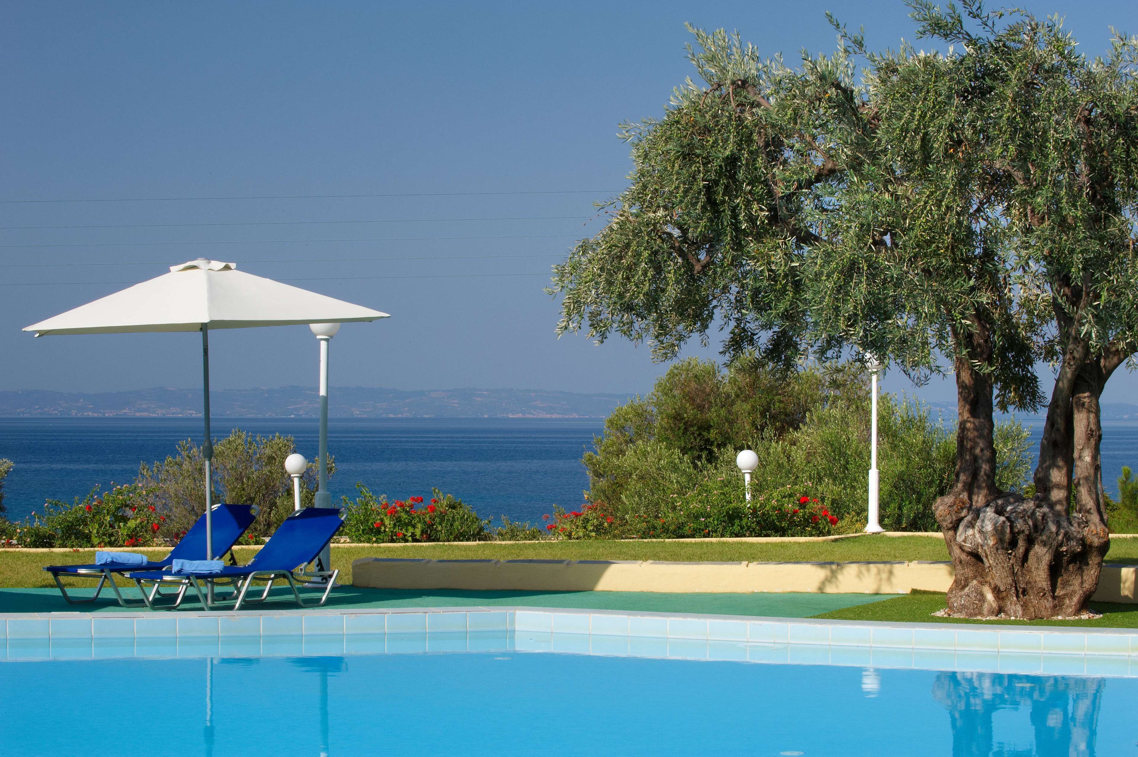 A pool with blue chairs and an umbrella, a tree, and a view of the sea.