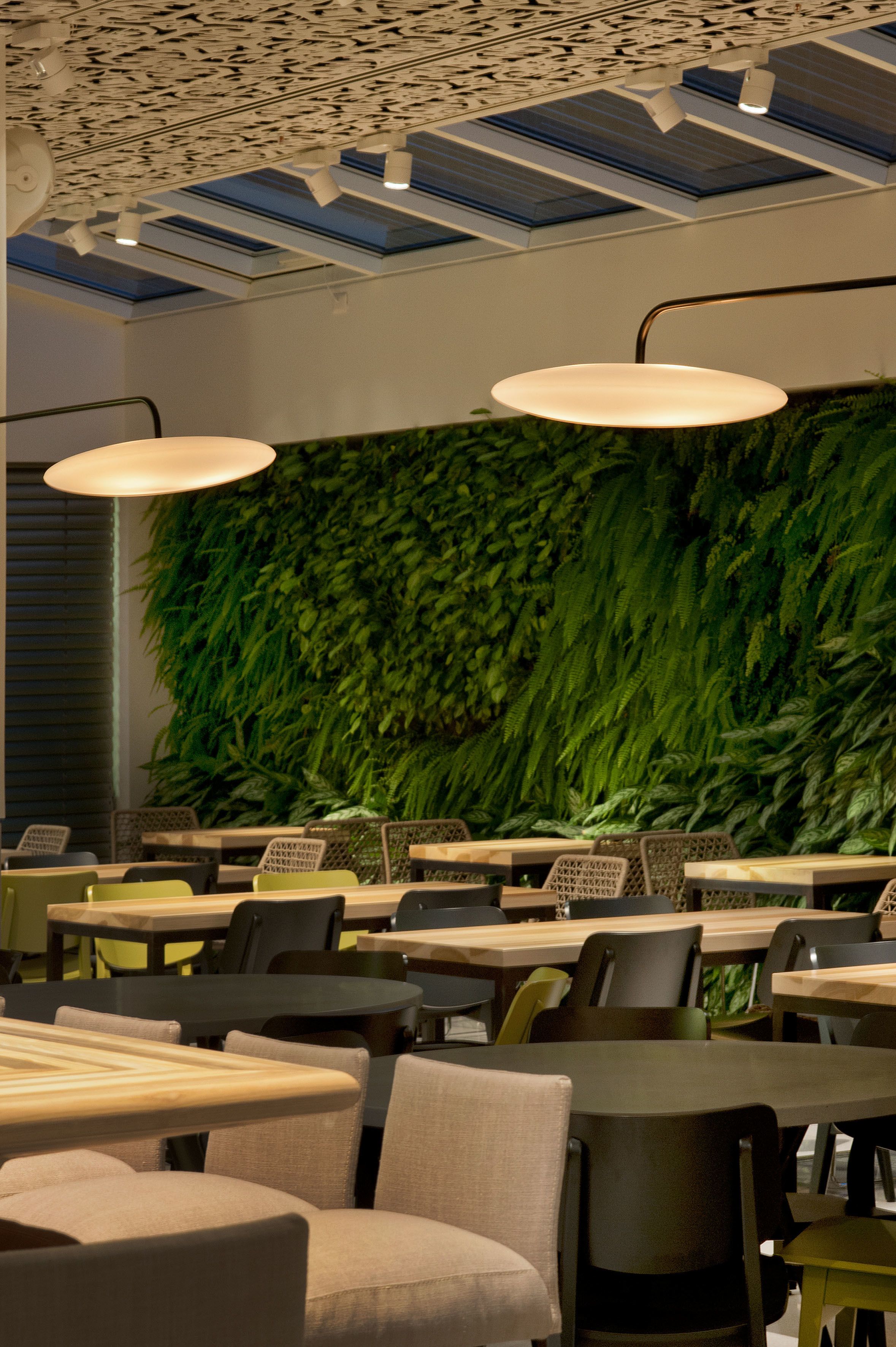 Foto - Mendeli Street Hotel By Prima Hotels - 18 years Plus