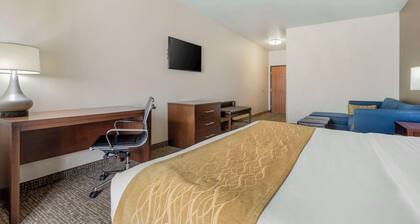 Comfort Inn & Suites Mitchell I-90