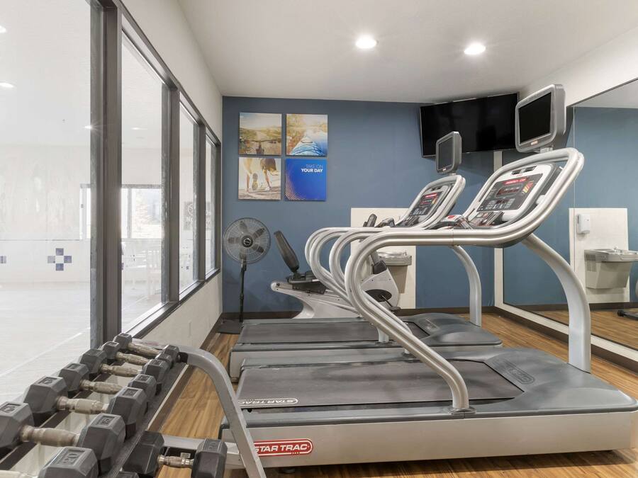 A gym with treadmills, dumbbells, a fan, and exercise equipment.