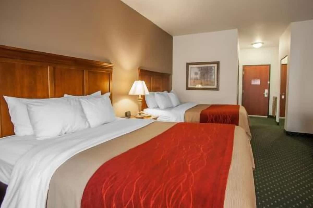 Habitación de hotel con dos camas, cabecero de madera, mesita de noche con lámpara, un cuadro enmarcado en la pared y una puerta al fondo.