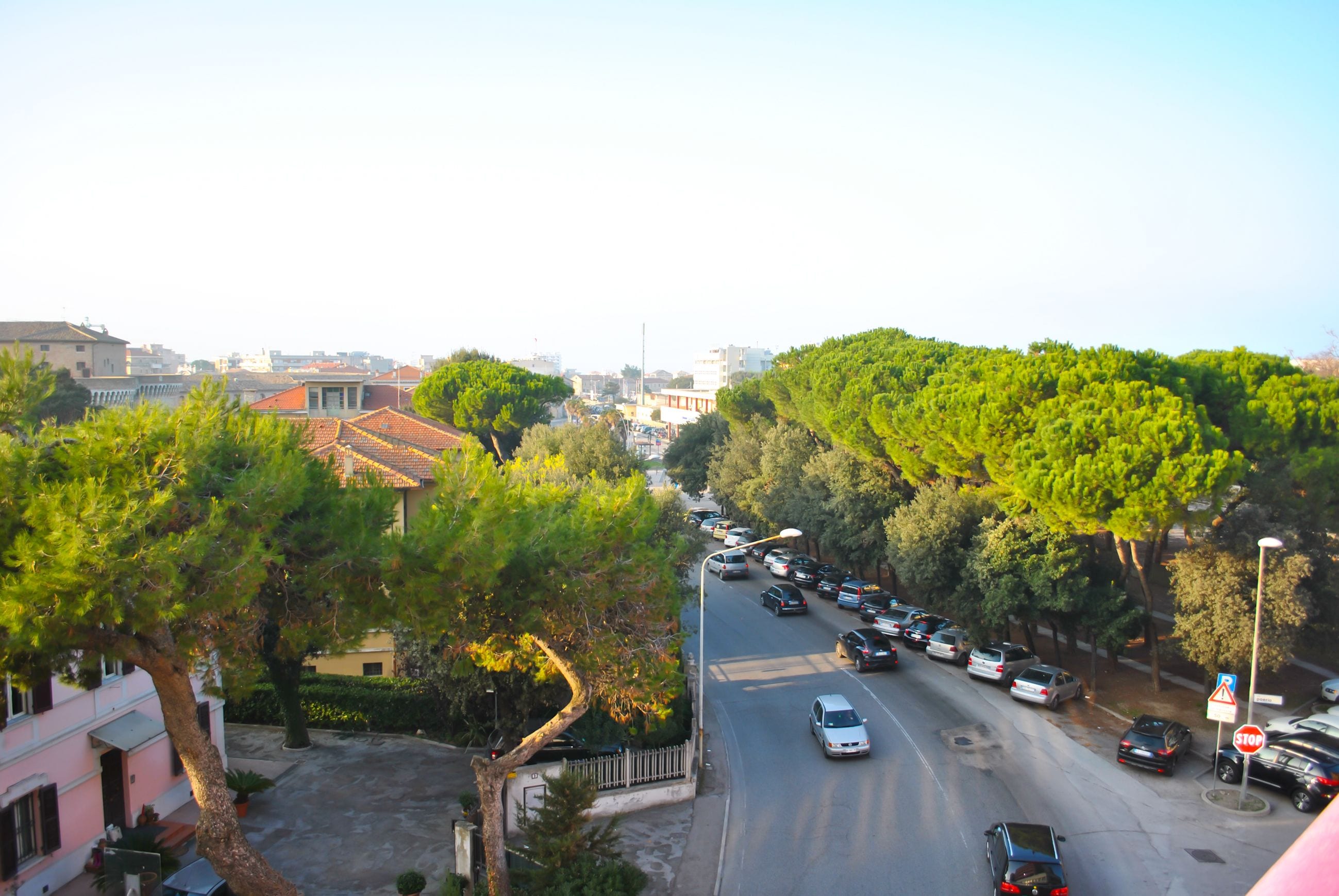 A street view with parked cars, trees, and buildings.