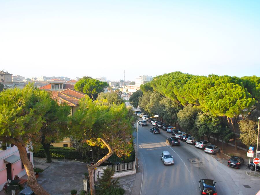 A street view with parked cars, trees, and buildings.