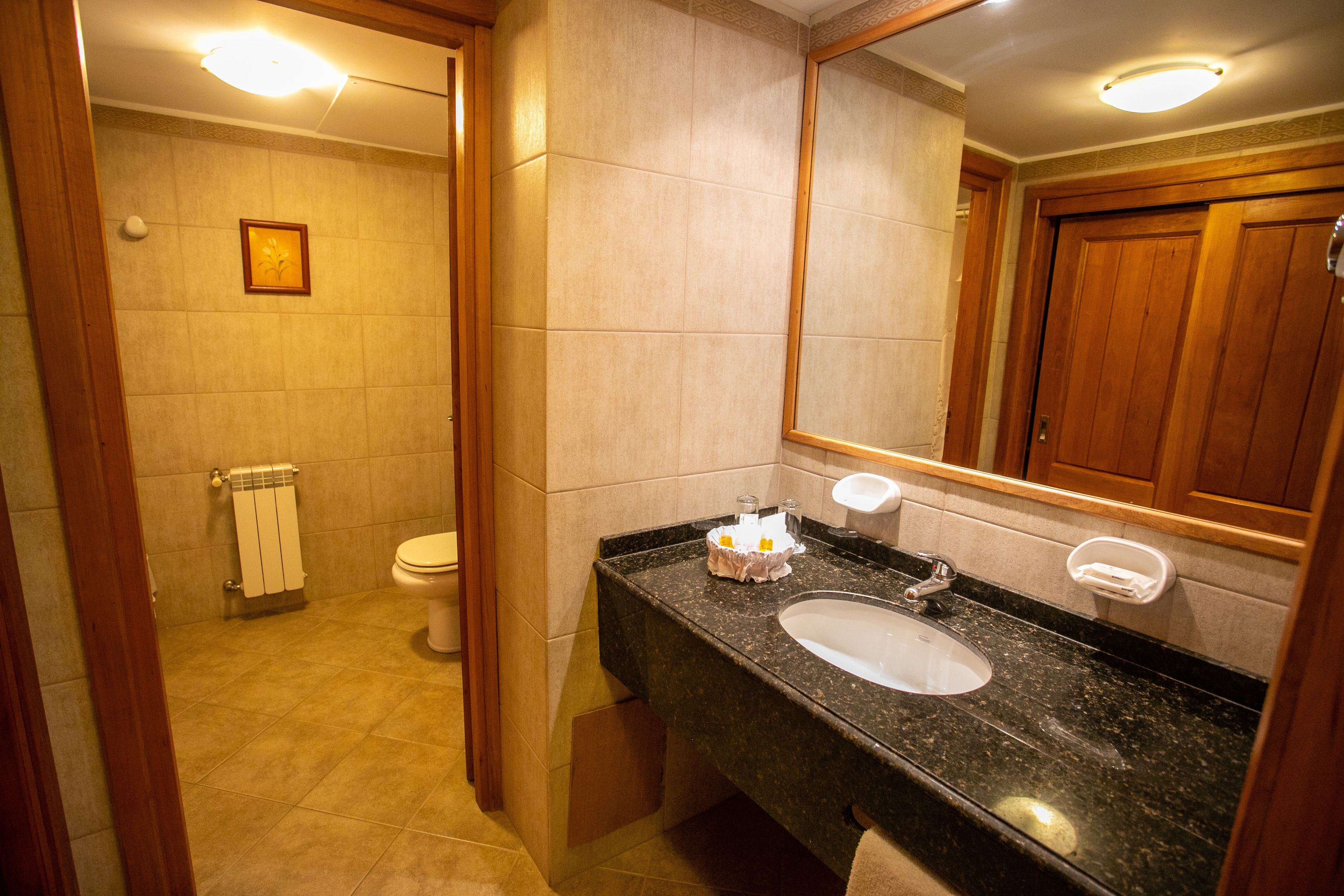 free toiletries, hair dryer, bidet, towels