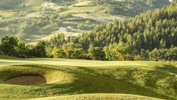 Experience the undulating terrain of our golf course, featuring a mix of open spaces and wooded areas with lush vegetation.