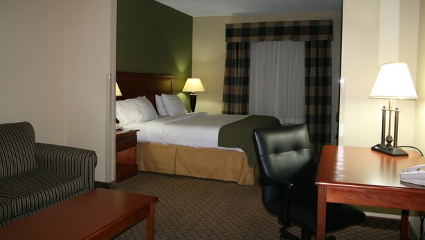 A hotel room with a bed, a desk, a chair, a sofa, and a lamp. - Holiday Inn Express & Suites - Greenwood by IHG (Greenwood)