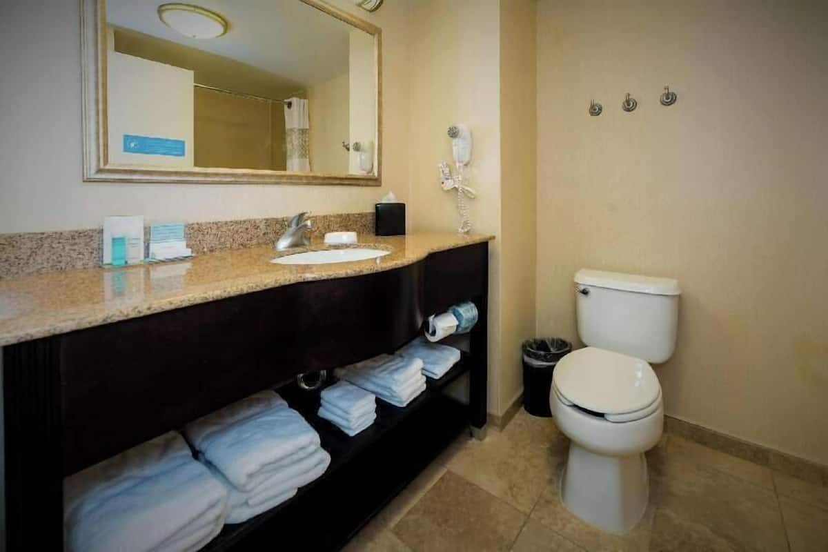 Ein Badezimmer mit Waschbecken, Spiegel, Handtuchhalter und Toilette.