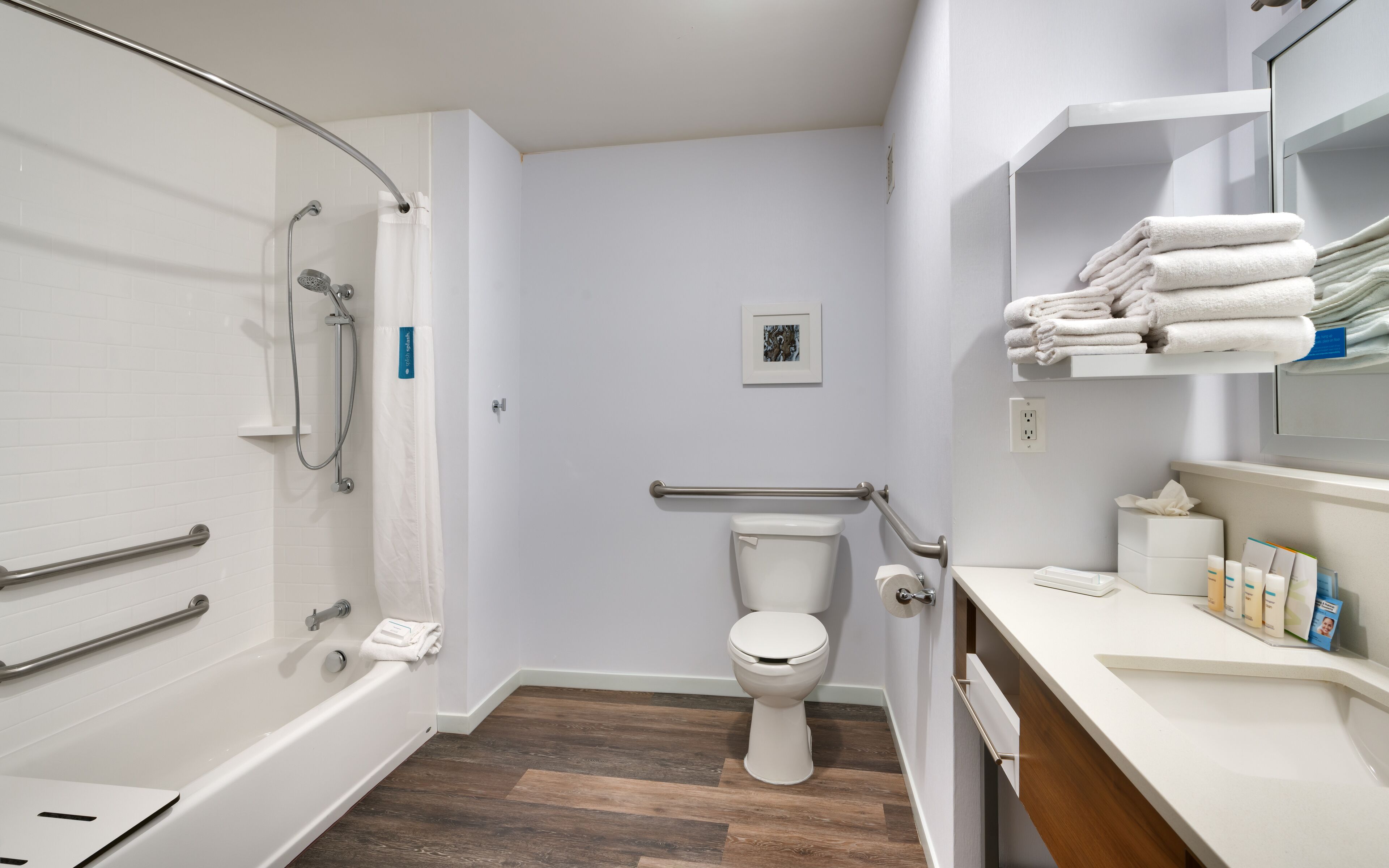 room, 1 king bed, accessible, non smoking | bathroom | free toiletries, hair dryer, towels, soap