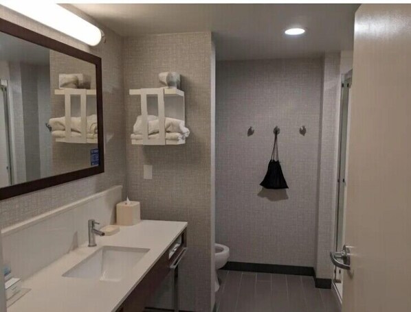 A bathroom with a sink, mirror, towel rack, and toilet. - Hampton Inn & Suites Omaha Southwest-La Vista (La Vista)
