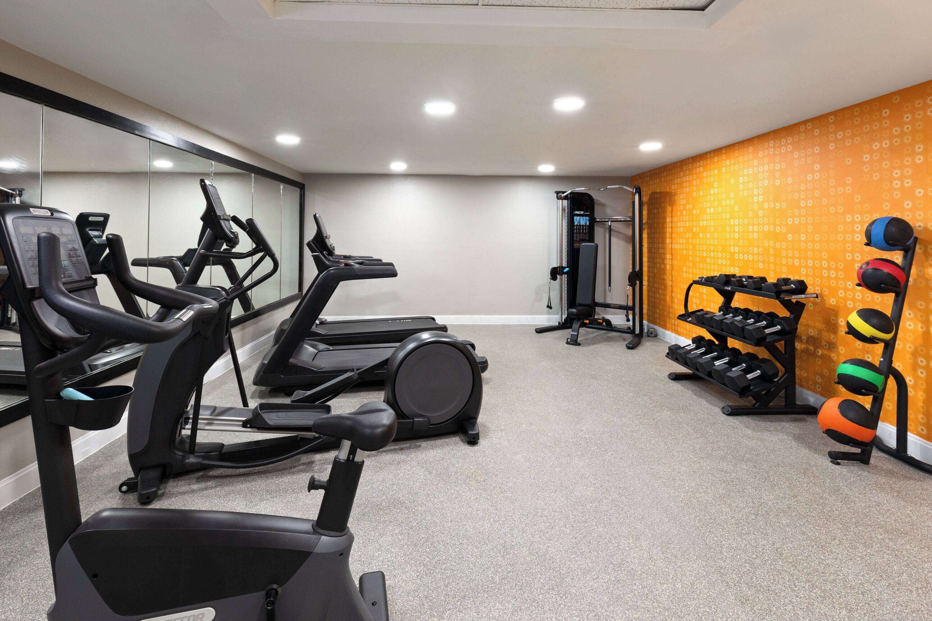 A gym with treadmills, an elliptical, a stationary bike, and a weight rack with dumbbells.