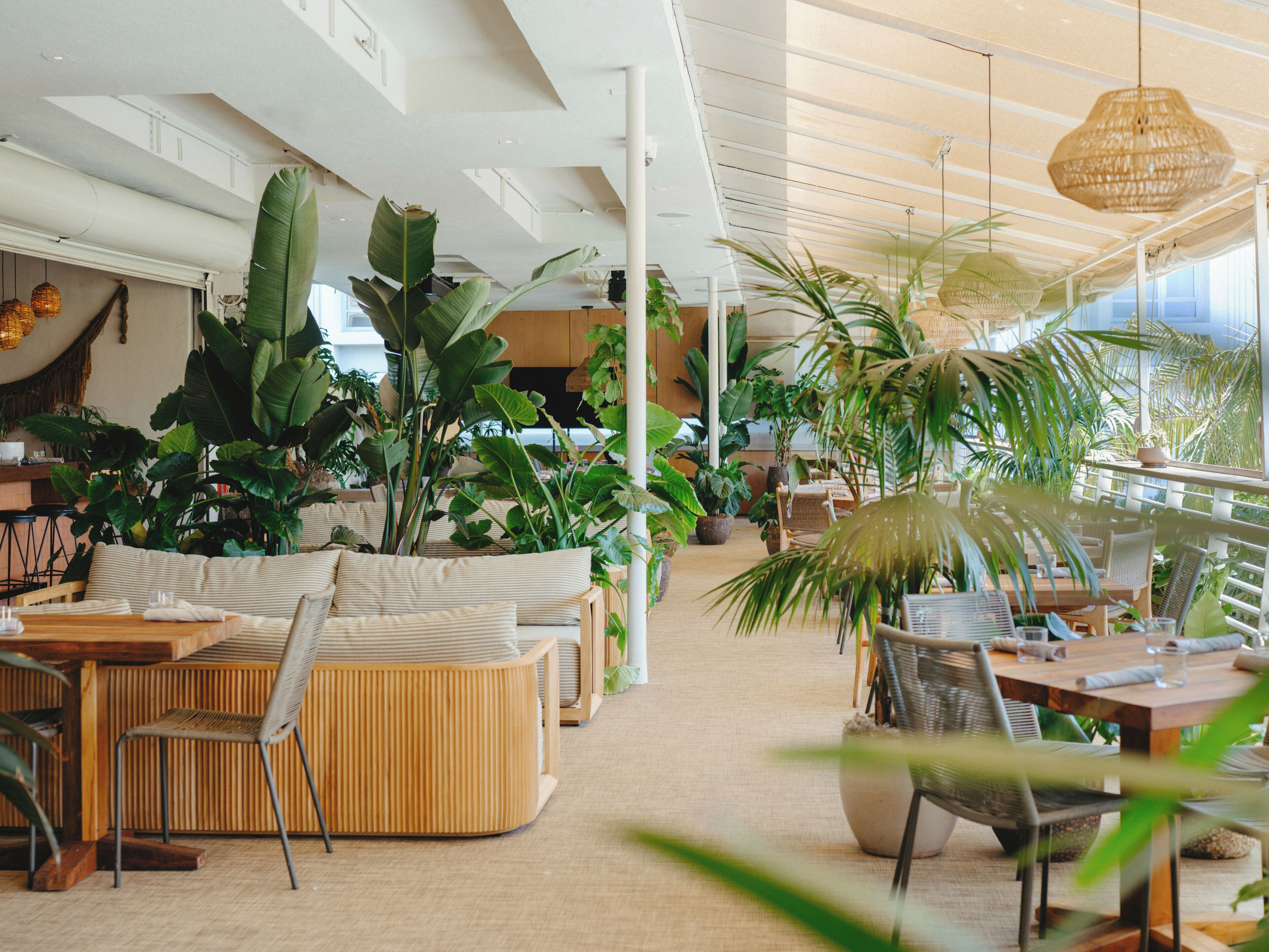 Photo - Hotel June West L.A., a Member of Design Hotels