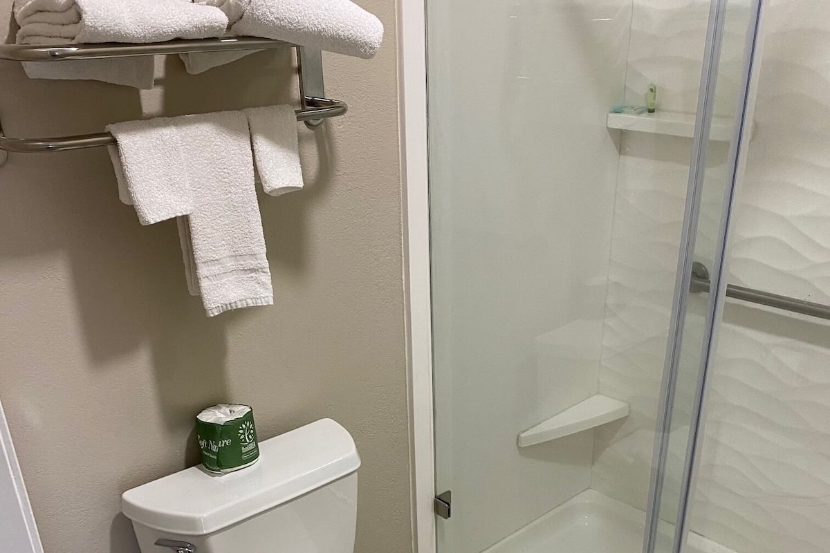 Shower, hair dryer, towels