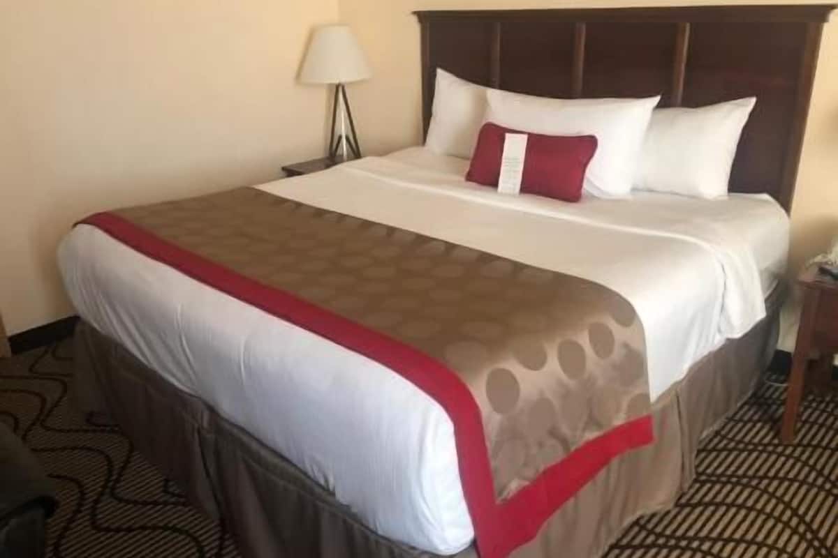Ropa de cama de alta calidad y caja de seguridad en la habitación