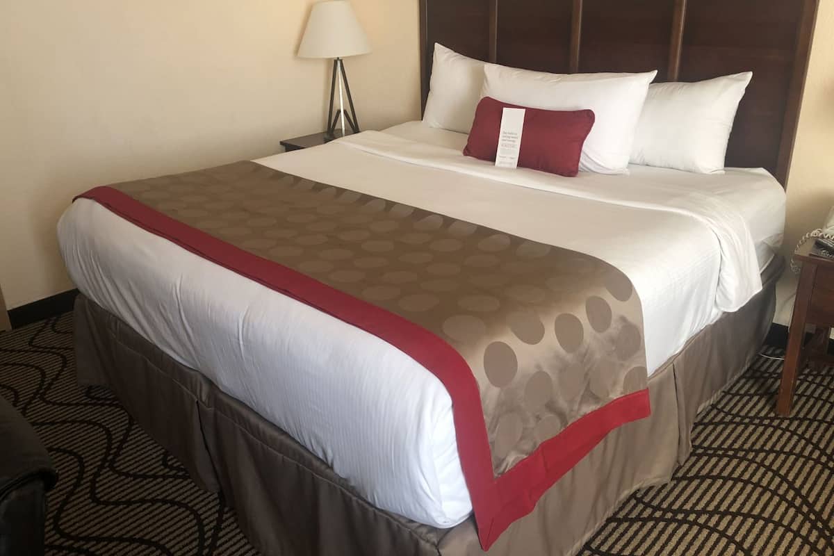Une chambre d’hôtel avec un grand lit, une table de chevet avec une lampe et une moquette à motifs.