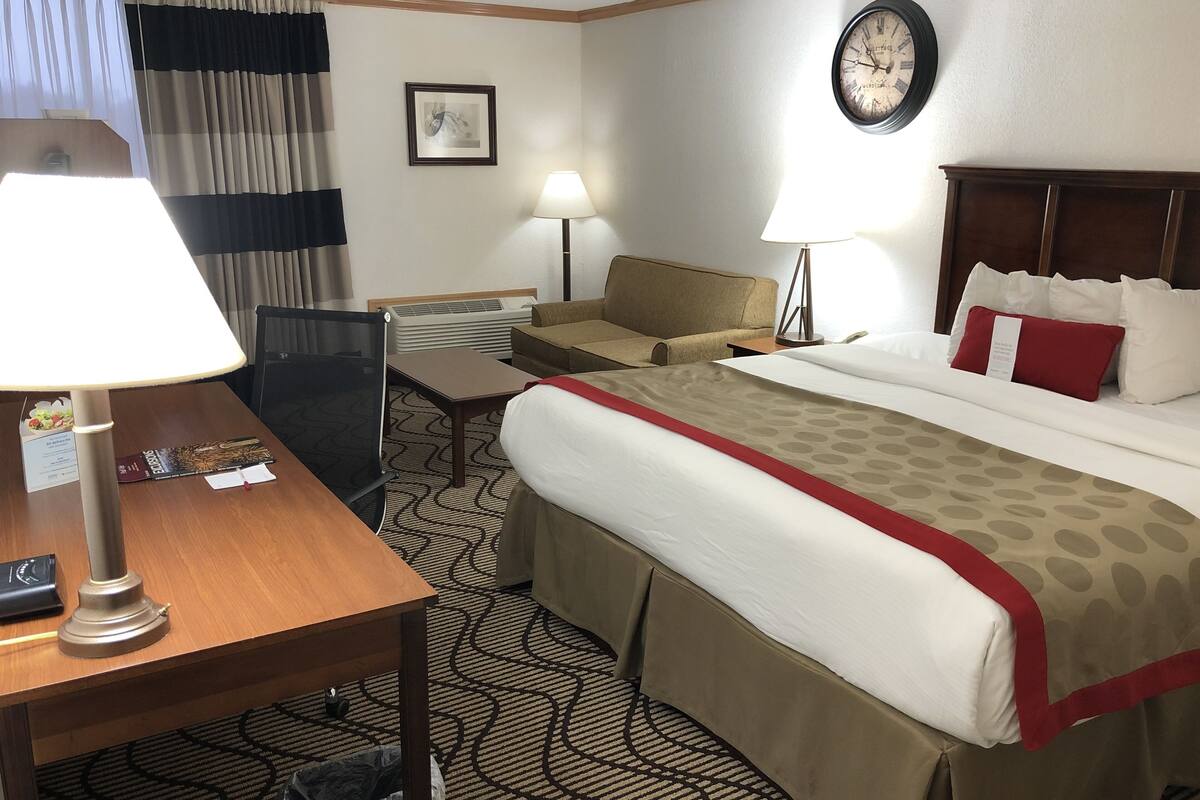 room, 1 king bed, non smoking | view from room