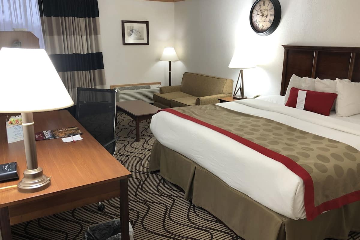 Une chambre d’hôtel comprenant un lit, deux tables de chevet, un bureau avec une chaise, un canapé, une horloge murale et une fenêtre avec des rideaux.