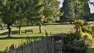 A park with a bench, trees, and a stone wall.
