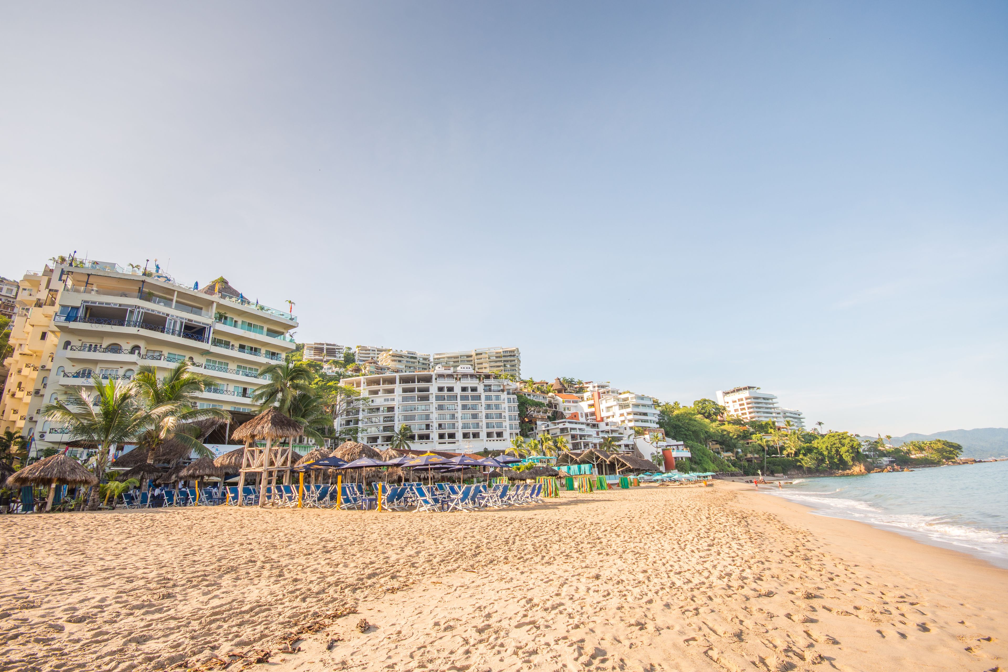 A beach with rows of beach chairs and umbrellas, a building with balconies, and palm trees.