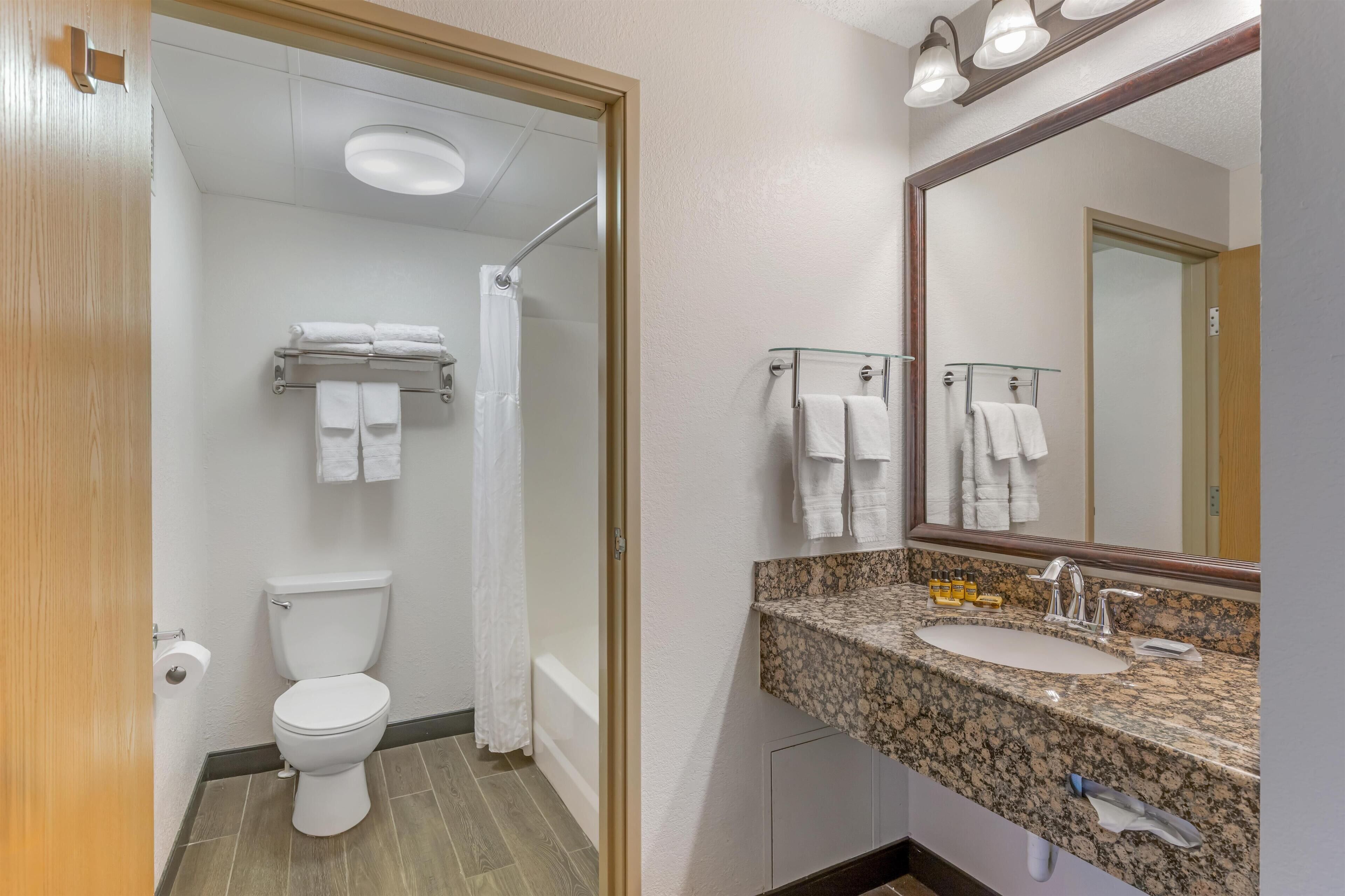Een moderne badkamer met toilet, douche en wastafel.