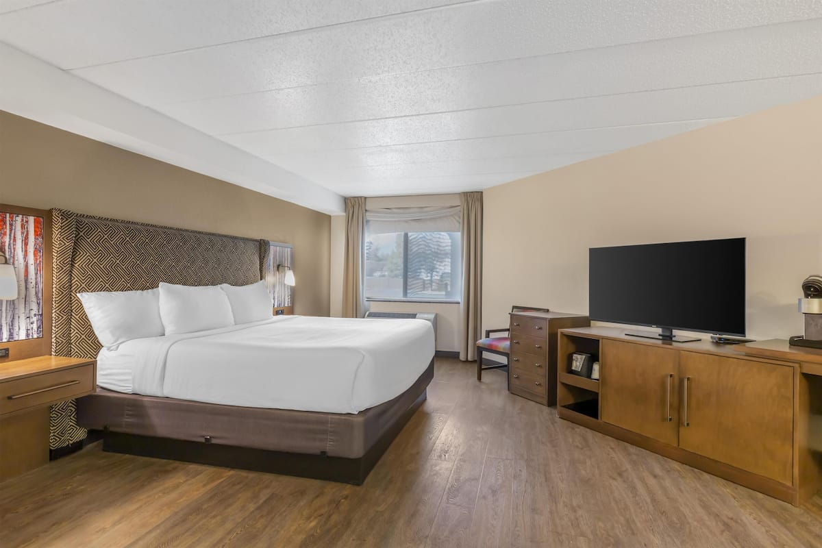 Standardzimmer, 1 King-Bett, Nichtraucher, Kühlschrank und Mikrowelle (with Sofabed)