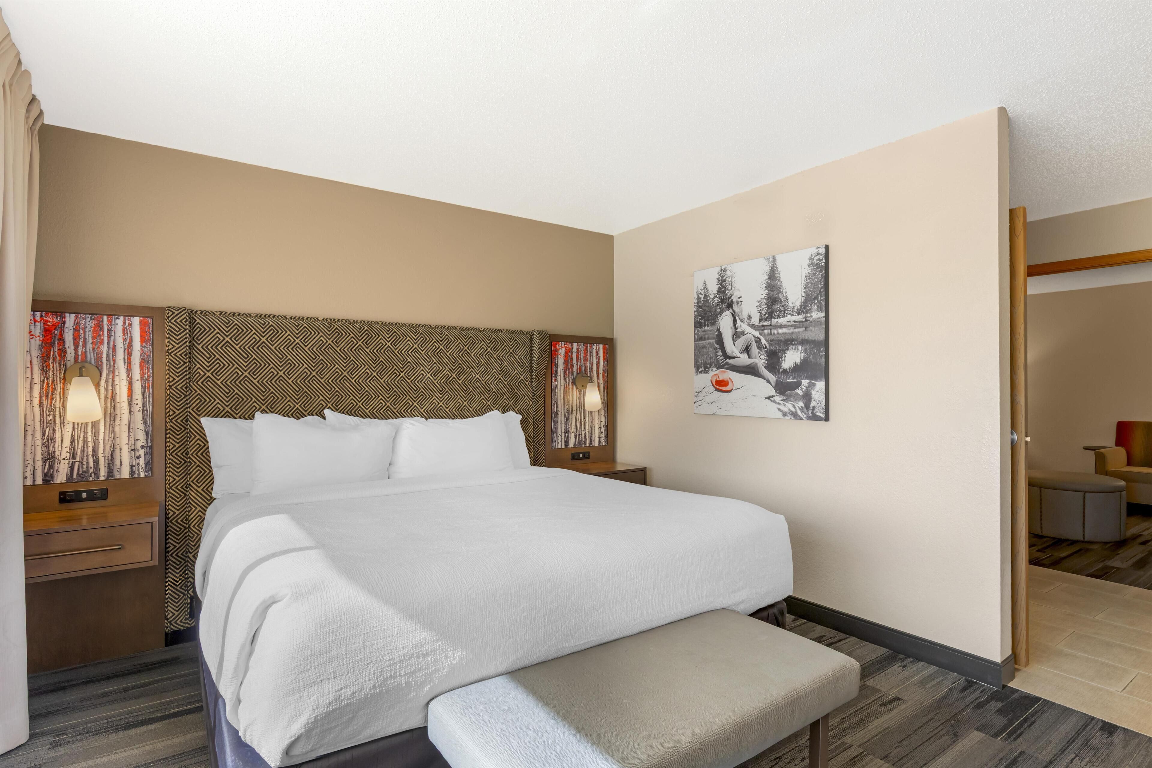 Suite, 1 King Bed, Non Smoking, Refrigerator & Microwave (with Sofabed) | Individually decorated, individually furnished, desk, laptop workspace