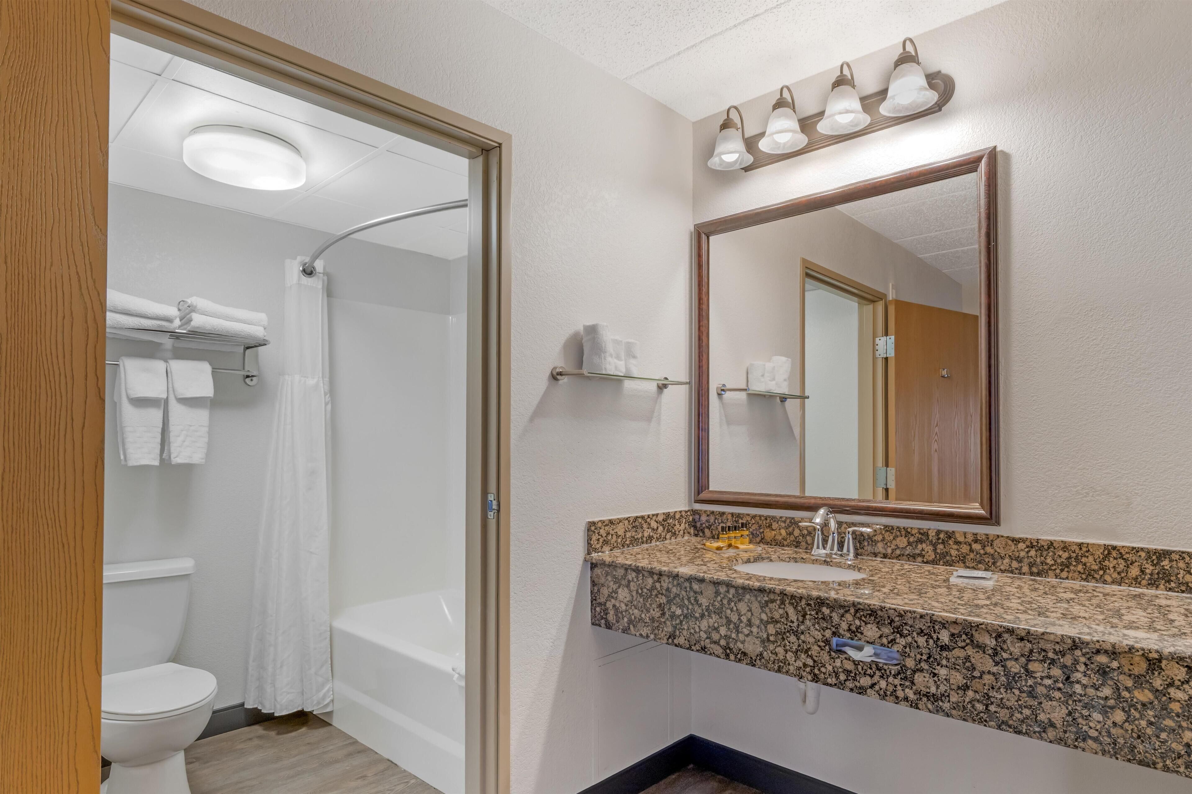 A bathroom with a shower, toilet, and sink, featuring a granite countertop and a mirror with lights above.