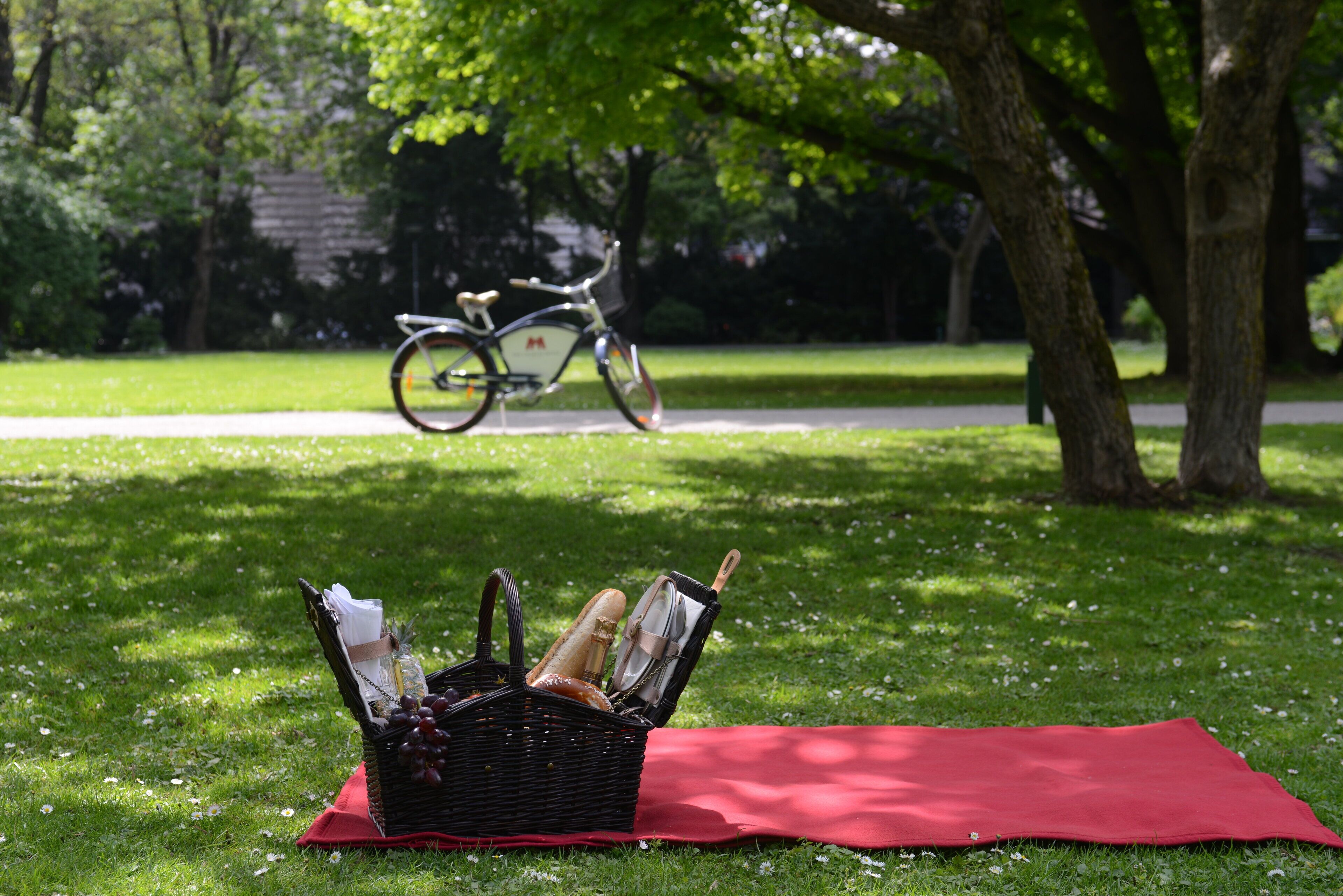Ein Picknick mit Korb, Decke und einem Fahrrad in einem Park.