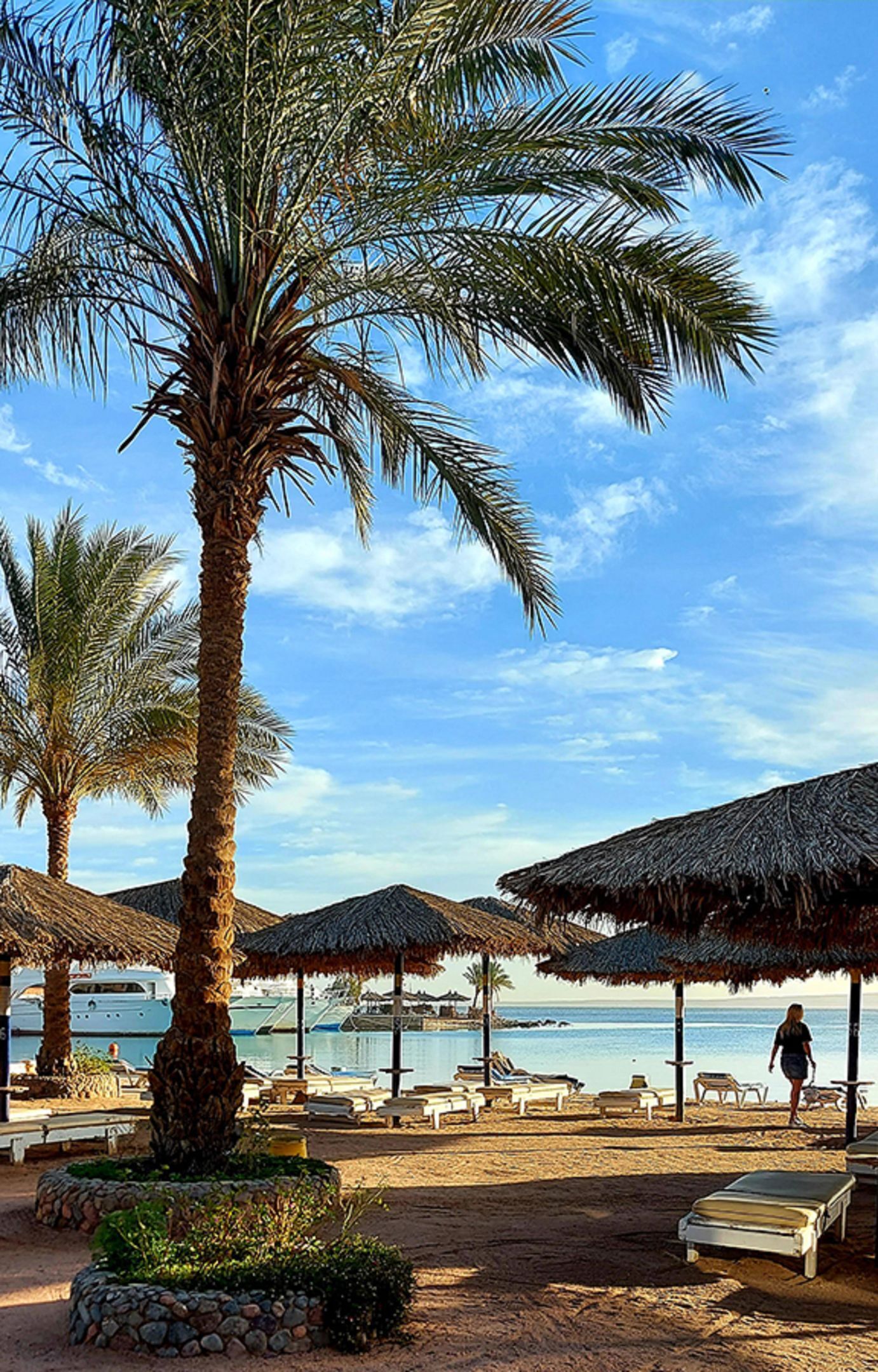 A beachside resort with palm trees, thatched umbrellas, lounge chairs, and a view of the sea.