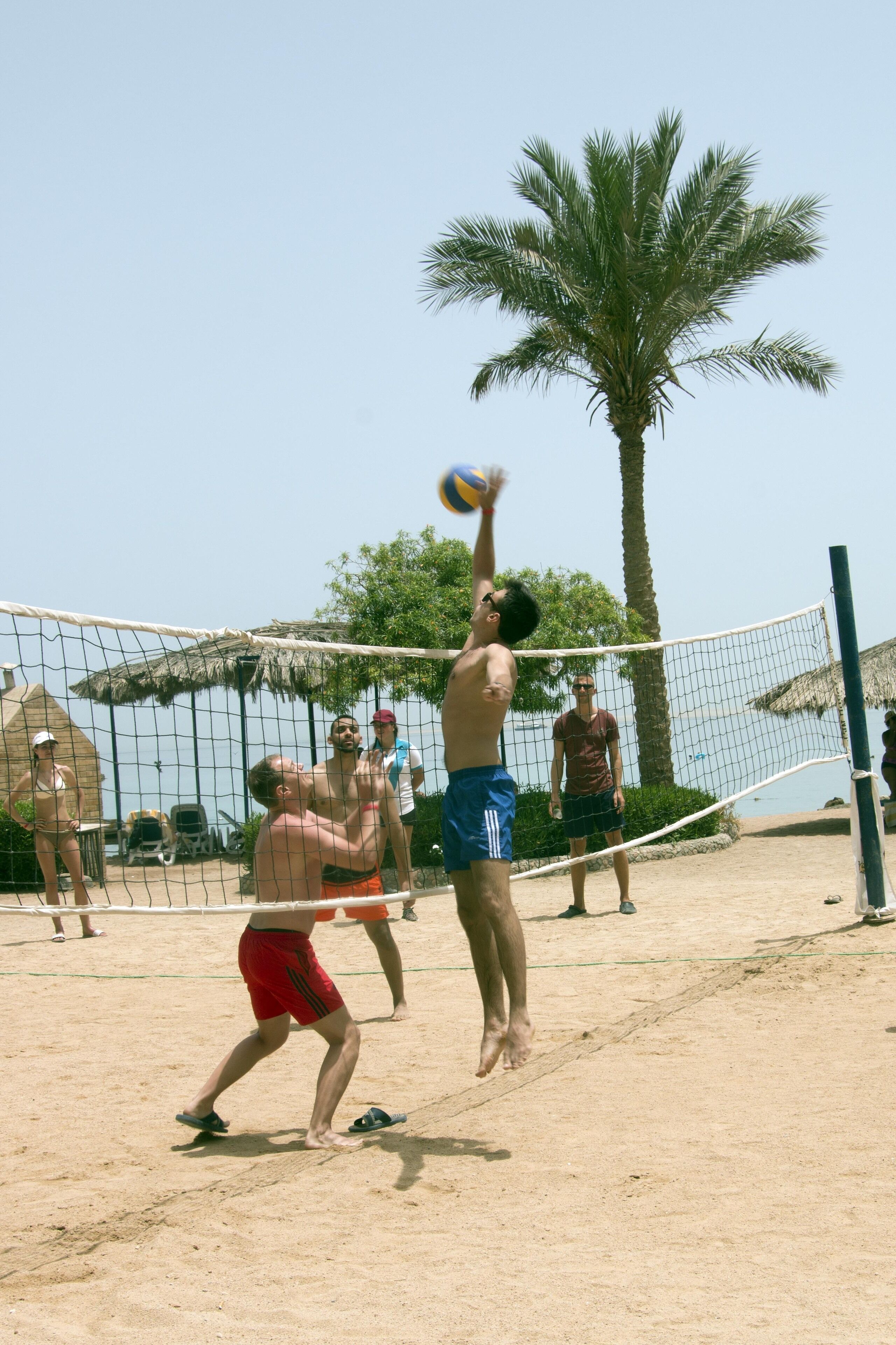 Un match de volleyball de plage où les joueurs portent des shorts et ne sont pas vêtus de maillots, avec un filet et des palmiers en arrière-plan.