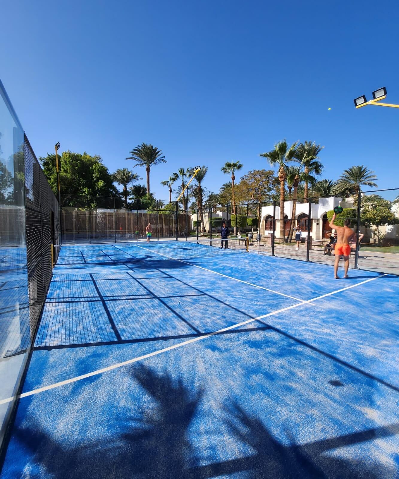 Een tennisbaan buiten met een blauwe ondergrond, omringd door palmbomen en een heldere lucht.