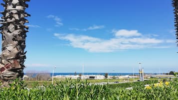 Un ciel dégagé, un palmier et une vue sur une ville lointaine, avec ses bâtiments et une étendue d’eau.
