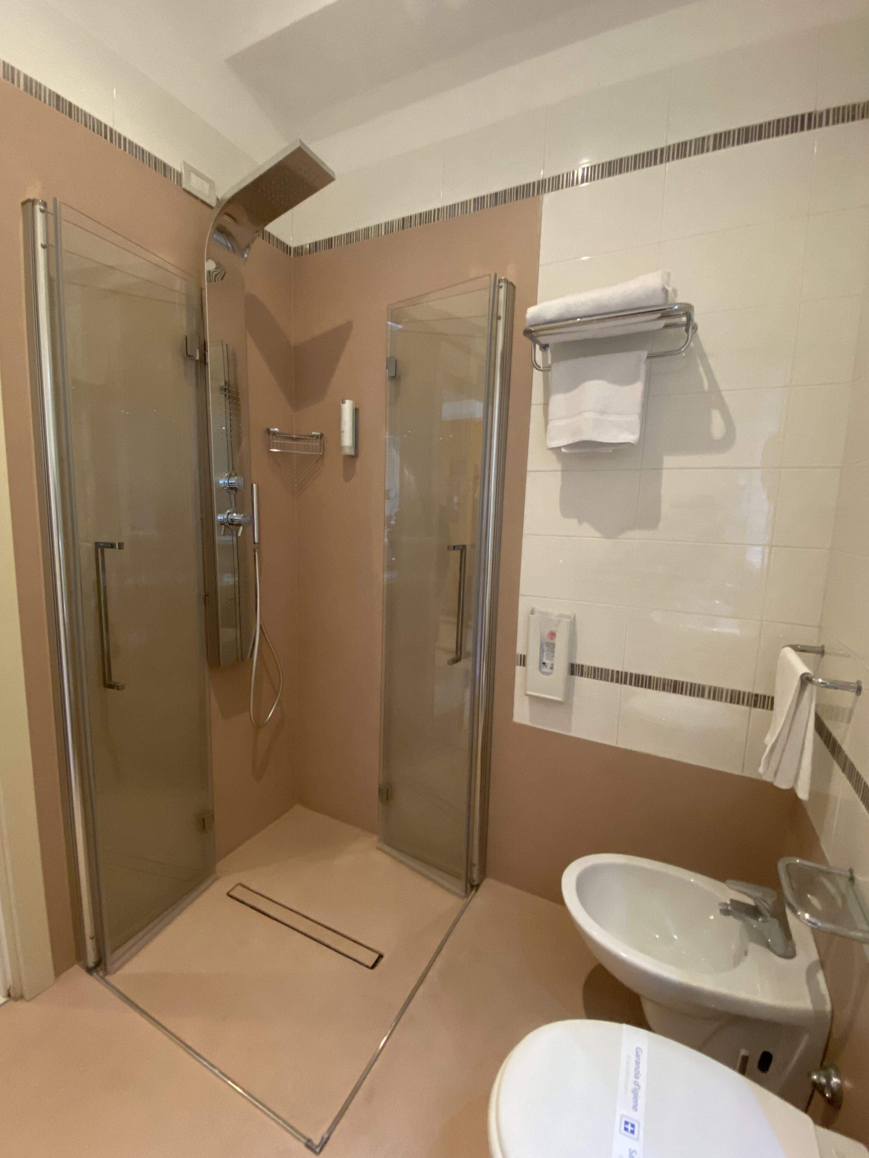 A modern bathroom with a glass-enclosed shower, a sink, and a toilet.
