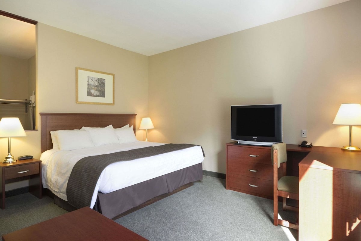 Une chambre d’hôtel avec un lit, des tables de chevet, un téléviseur posé sur une commode en bois et un bureau avec une lampe.