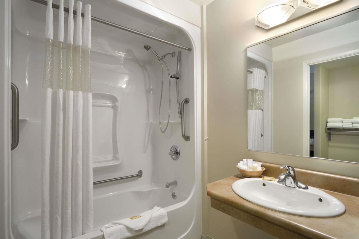 combined shower/bathtub, free toiletries, hair dryer, towels